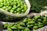درمان آفت با چاقاله‌بادام