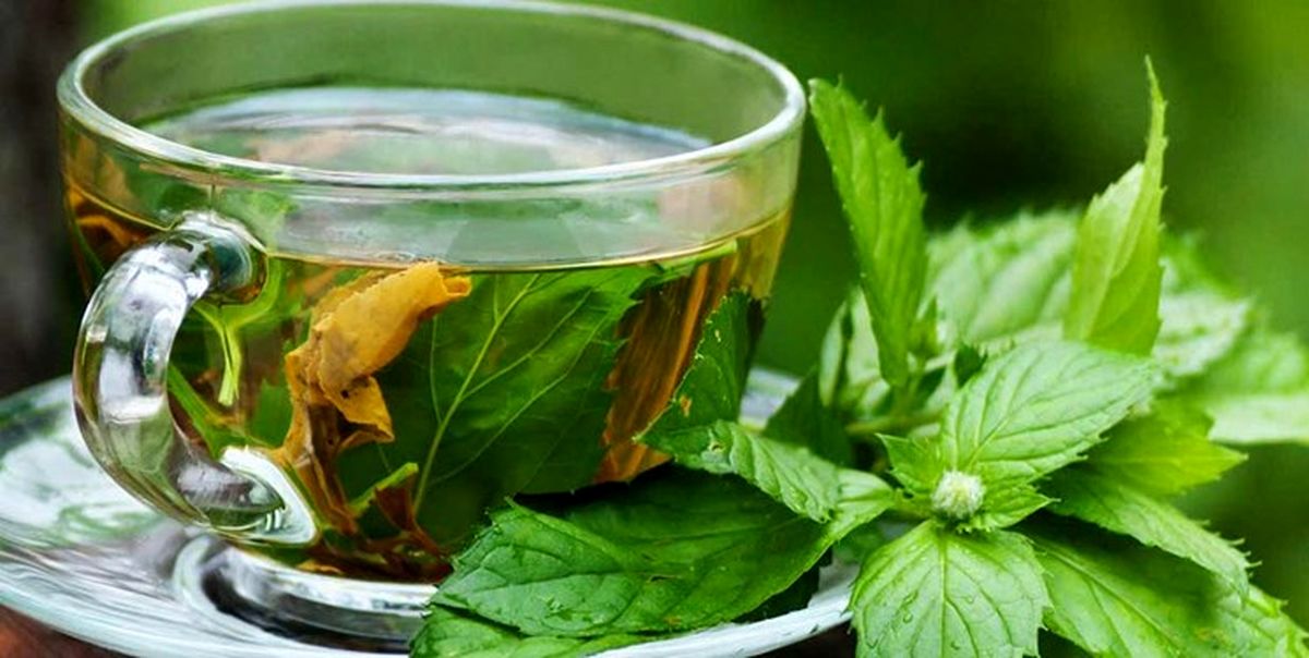 خوردن غذاهای گوشتی و شیرینی درفصل بهار ممنوع!