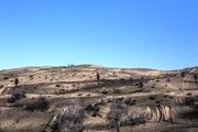بلایی که مالچ پاشی برسر خوزستان آورد/ گزارش تصویری