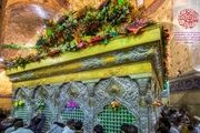 میلاد انوار کربلا/ گزارش تصویری