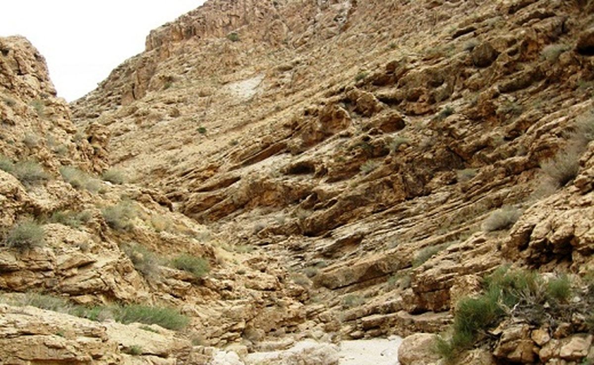 
آشنایی با منطقه شکار ممنوع تپال + تصاویر
