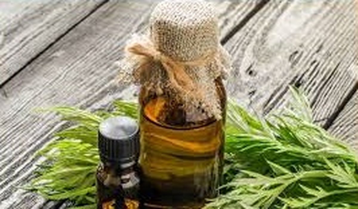 روغن خراطین برای صورت مفید است؟