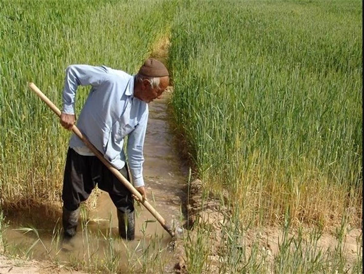 مشکل آب؛ بهانه‌ای برای فرار مدیران از بار مسئولیت «کشاورزی» شده است
