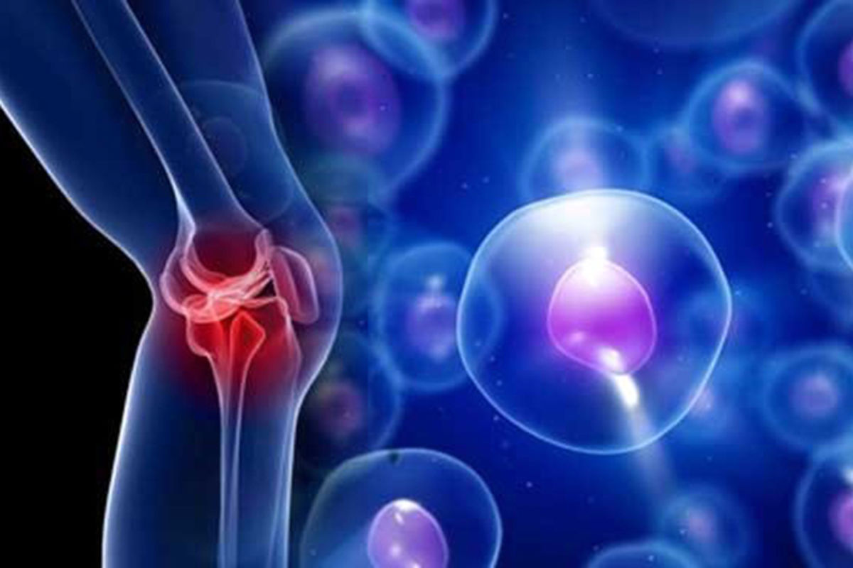 آیا بالا رفتن از به عضلات زانو آسیب وارد می‌کند؟