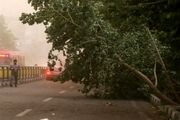 تشدید بارندگی‌ها در پایتخت تا ساعتی دیگر