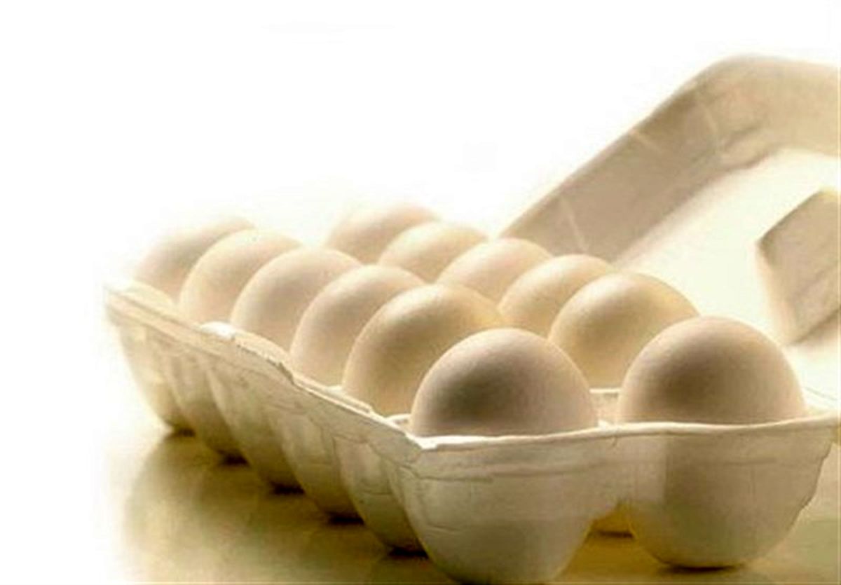 مرغ و تخم مرغ در بازار چند؟