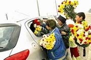 چهارراه فال فروشی، بن‌بست آرزوها
