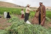 سود، جریمه و کارمزد وام کشاورزان خسارت‌دیده بخشیده شد 