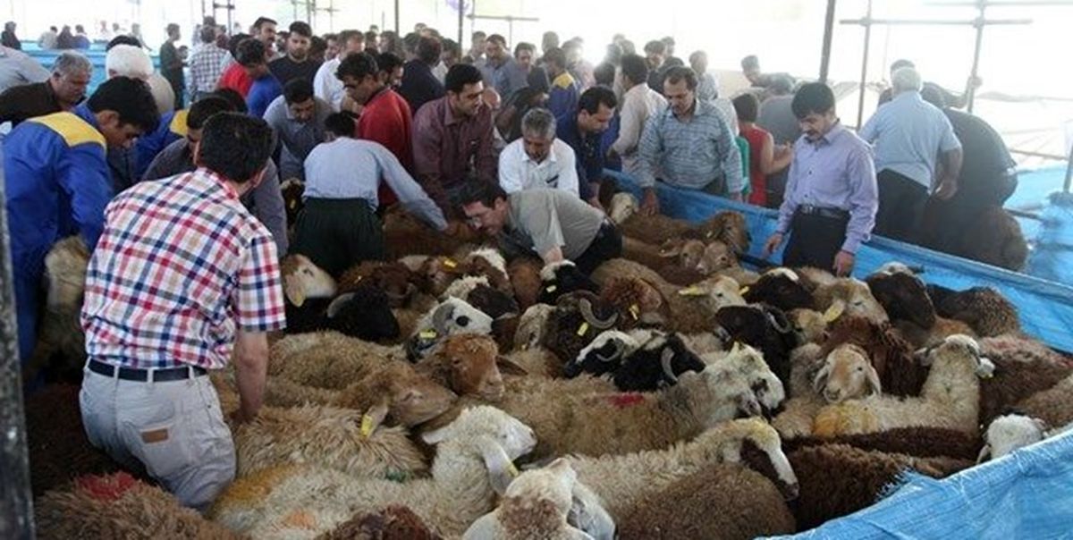 آمادگی کمیته امداد استان تهران برای جمع آوری نذورات مردمی عید قربان