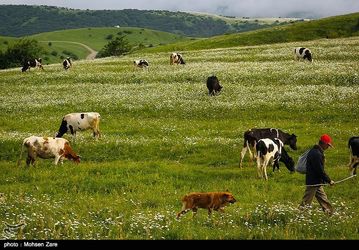 طبیعت