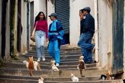 استقبال بی نظیر از فیلم الجزایری نماینده اسکار