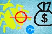 باگ بانتی چیست؟ راهنمای استفاده از برنامه‌های باگ بانتی برای هکرها