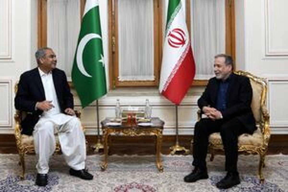 وزیر کشور پاکستان با عراقچی دیدار کرد +فیلم