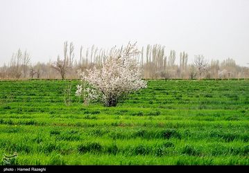 eaad7ded-433e-43d3-97d3-1f8817cba7fe