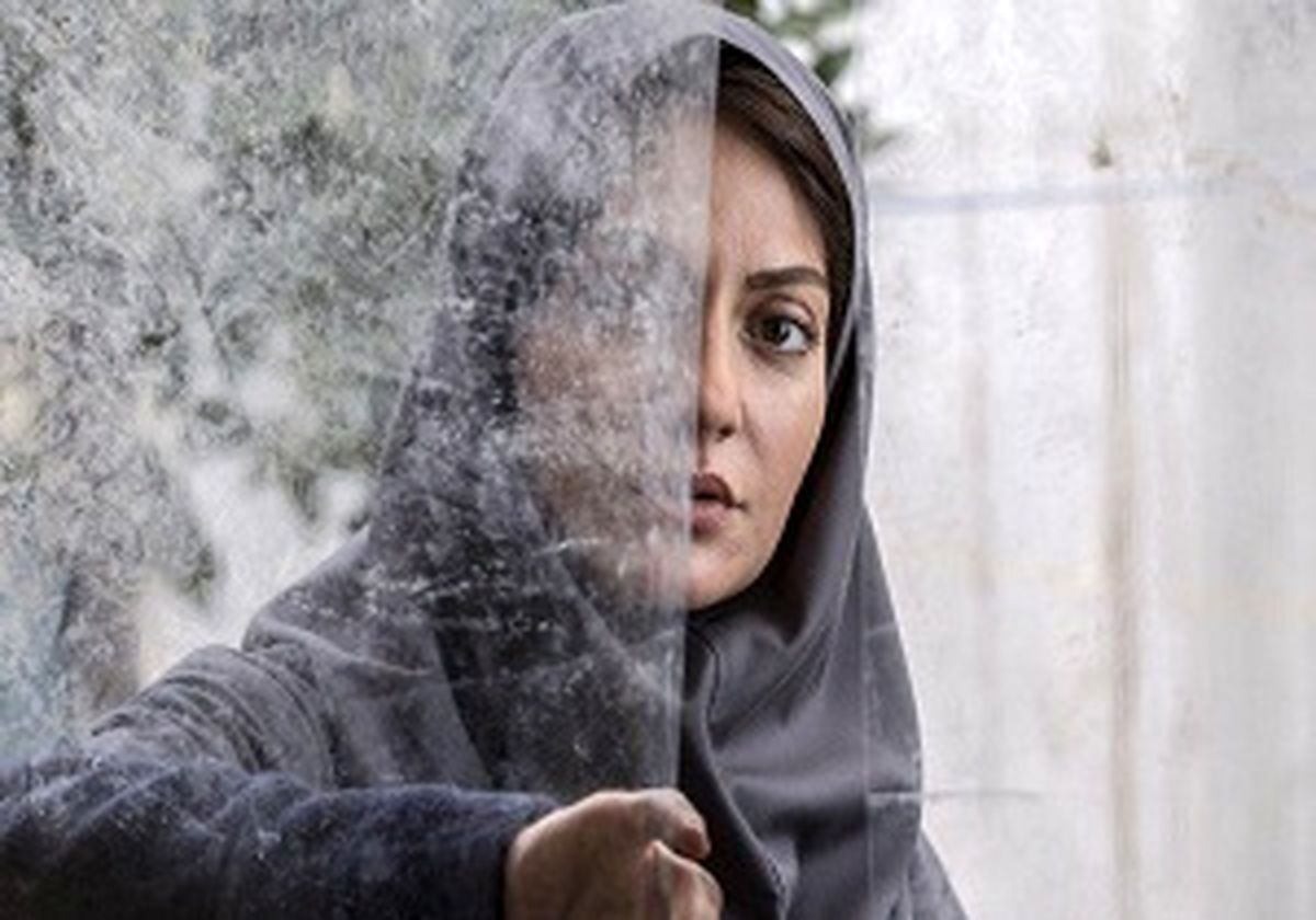 قالیباف مهمان ویژه بهروز شعیبی برای تماشای "دارکوب"