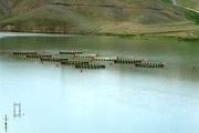 دور زدن قانونی مردم الیگودرز به سبک مسئولین استان