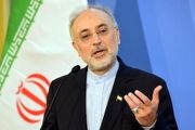 صالحی: جهان با فروریزی برجام آینده خوفناک خواهد داشت