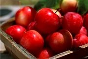 میوه ای برای رفع خستگی عصبی