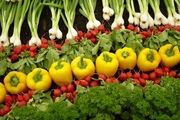 واکسنی برای پیشگیری از آسم