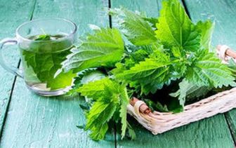 شربتی که سنگ کلیه را پودر می‌کند