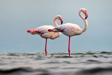 13951214001167636242323781943807_99352_PhotoU