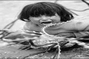برخورد غیرانسانی صهیونیست ها با کودکان فلسطینی
