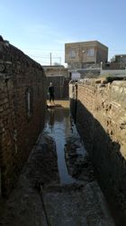 امدادرسانی بسیج در سیل گلستان