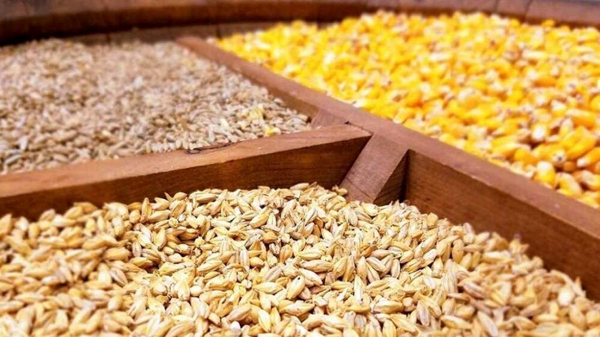 مشکلی در تامین نهاده‌های دامی تا پایان سال نداریم
