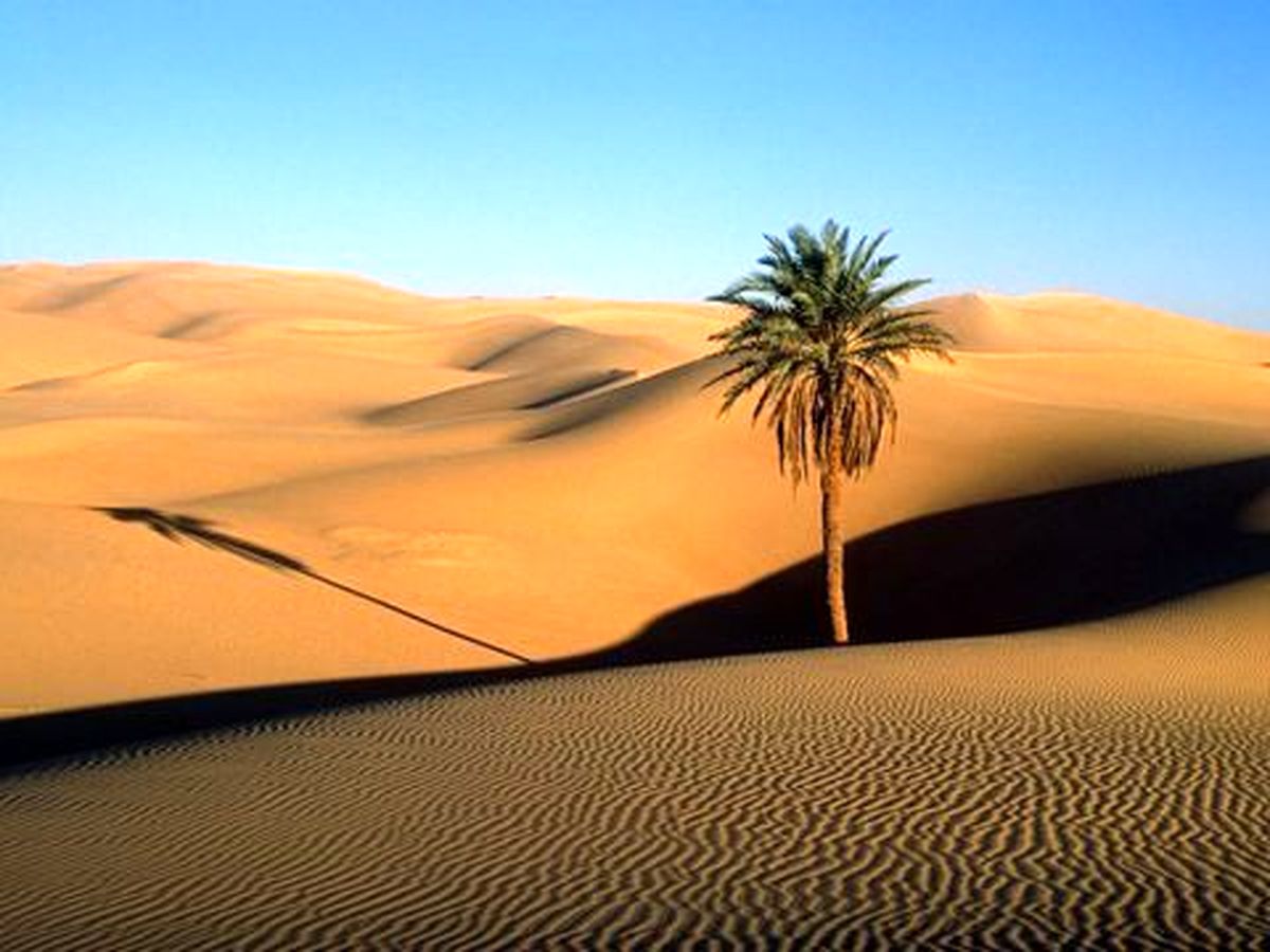 راهکار مقابله با تخریب سرزمین چیست؟
