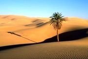 راهکار مقابله با تخریب سرزمین چیست؟
