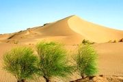 یک درصد بیابان‌های طبس طی 53 سال بیابان‌زدایی شد