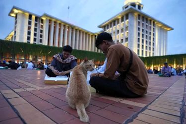 ماه مبارک رمضان در سراسر جهان