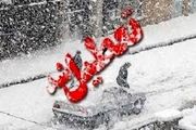 مدارس
ارومیه در شیفت بعدازظهر تعطیل شد 