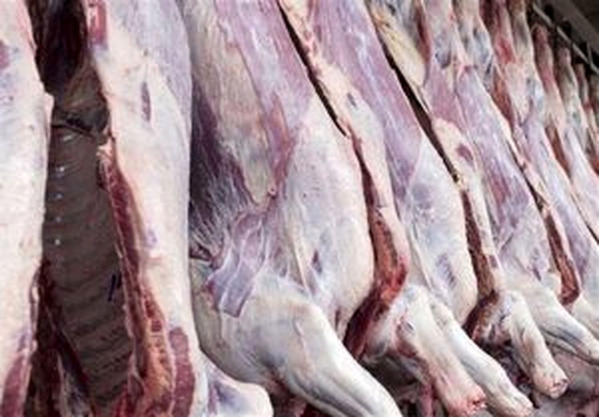 قیمت شقه گوسفندی به ۴۳۰ هزارتومان رسید
