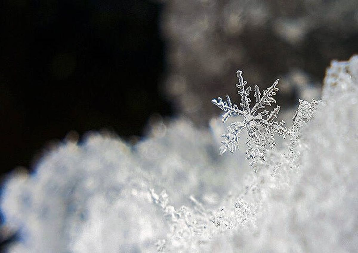  آغاز بارش برف در مناطق شمالی تهران