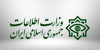 وزارت اطلاعات جاعل عناوین نهادهای حاکمیتی و امنیتی را دستگیر کرد