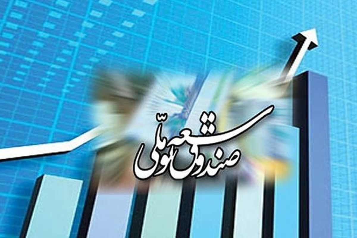 دولت عملا صندوق توسعه ملی را خالی کرده است