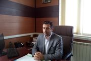 اصلاح نژاد گوسفند افشار در ایجرود