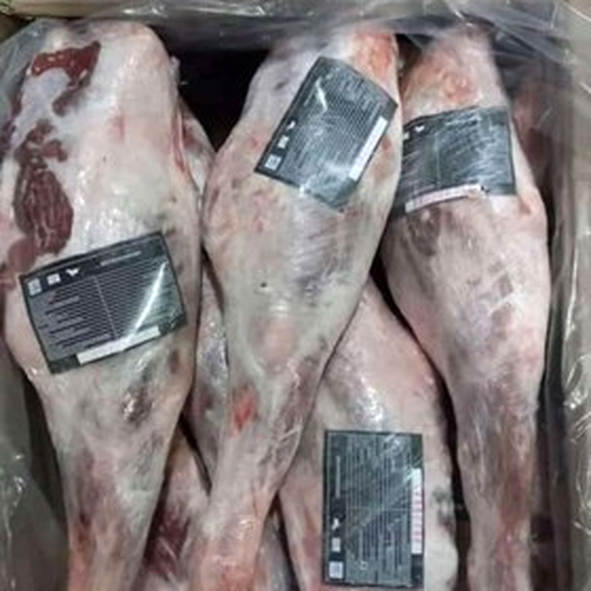 عرضه گسترده گوشت منجمد گوسفندی از چه زمانی؟