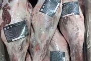 عرضه گسترده گوشت منجمد گوسفندی از چه زمانی؟