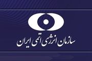 دوربین‌های فراپادمانی آژانس در یکی از مراکز هسته‌ای قطع شد