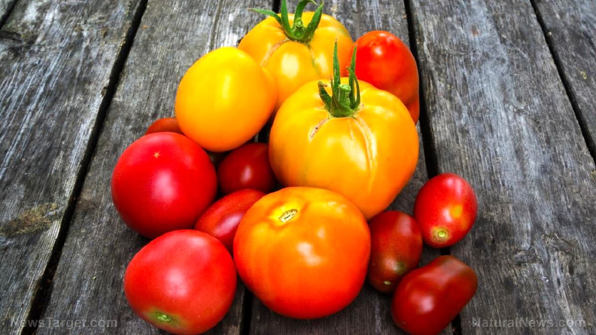خوراکی‌های سرشار از آنتی اکسیدان را بشناسید
