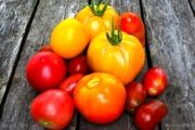 خوراکی‌های سرشار از آنتی اکسیدان را بشناسید