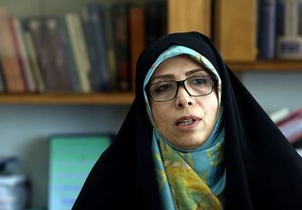 امین‌زاده: مردم به فردی رأی می‌دهند که کارها را اصلاح کند 