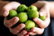 اینفوگرافیک/ خواص گردو برای بانوان