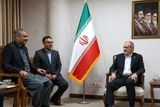 در دیدار پزشکیان با وزیرکشور پاکستان چه گذشت؟