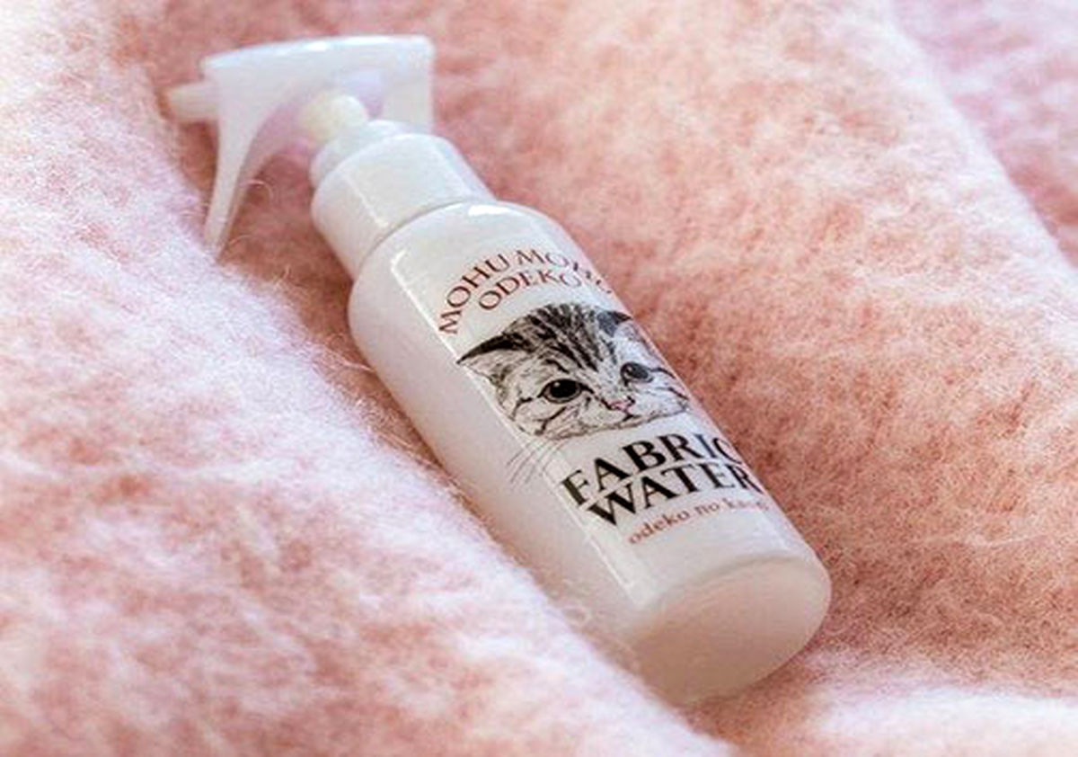 استقبال از عطرهایی با بوی گربه! + تصویر 