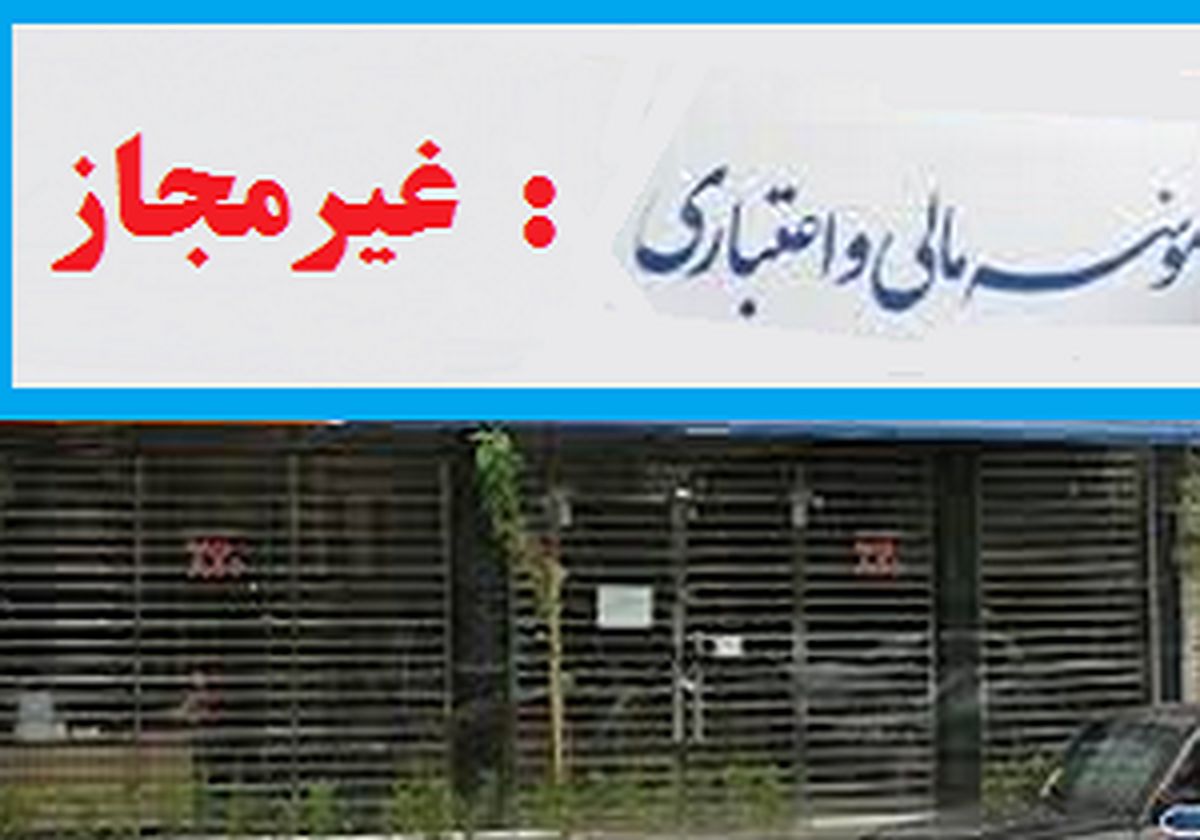 رشد قارچ گونه مؤسسات مالی در سایه بی توجهی بانک مرکزی