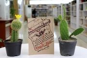 «تیغ کهنه»ی یاراحمدی در مرکز تبادل کتاب رونمایی می‌شود