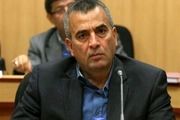 ورود مجدد واردکنندگان متخلف موبایل به بازار تلفن همراه